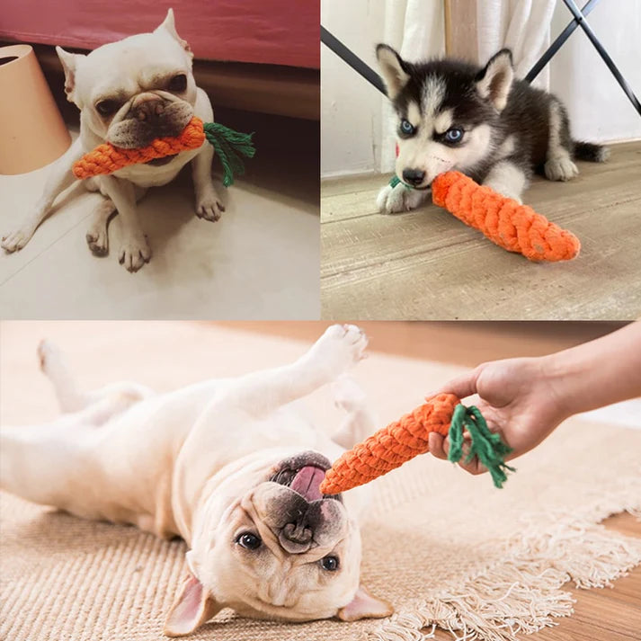 Pet Toys