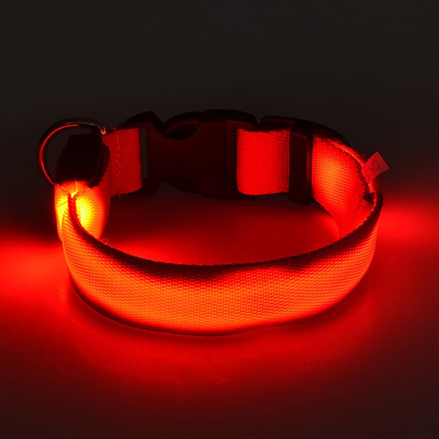 LED Dog Collar