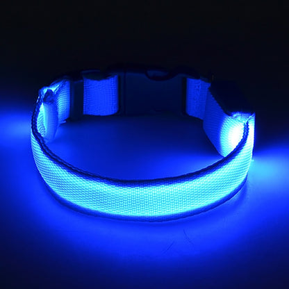 LED Dog Collar