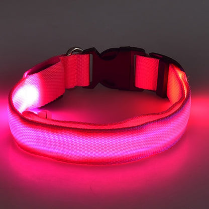 LED Dog Collar