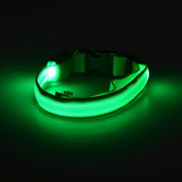 LED Dog Collar