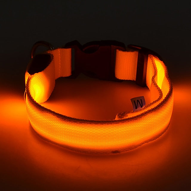 LED Dog Collar