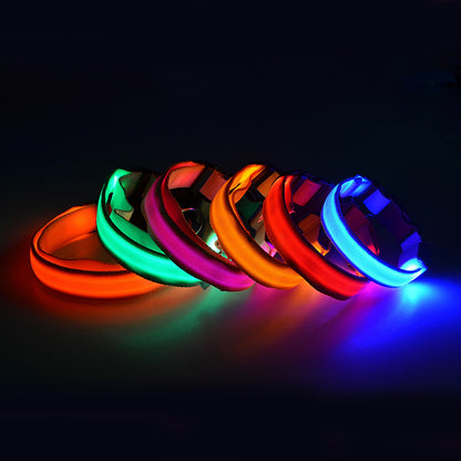 LED Dog Collar