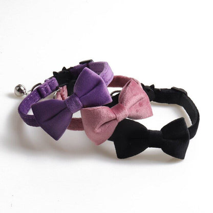 Multicolor Bowtie