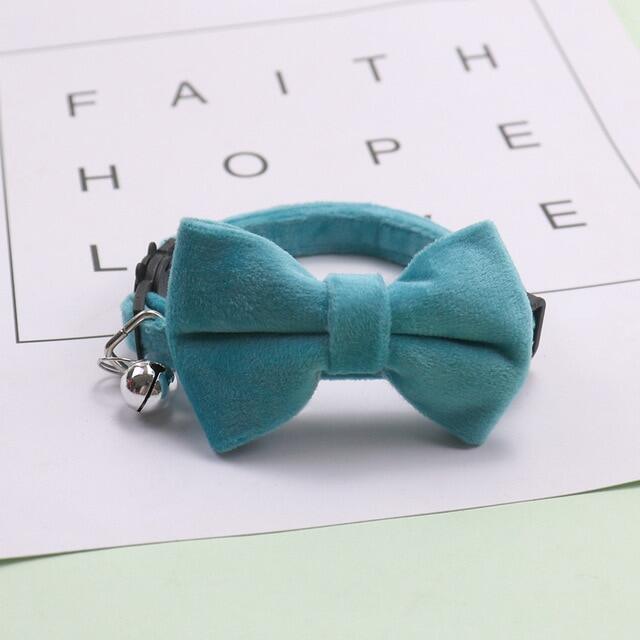 Multicolor Bowtie