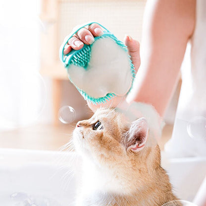 Bathing Brush